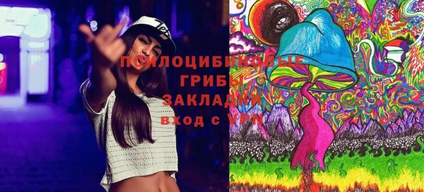 соль ск Краснослободск