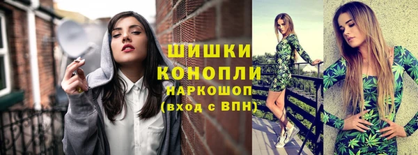 соль ск Краснослободск