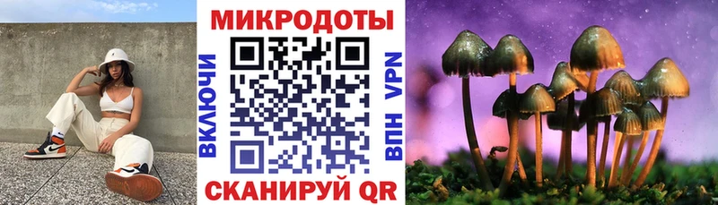 Купить  Апрелевка  Галлюциногенные грибы мицелий 