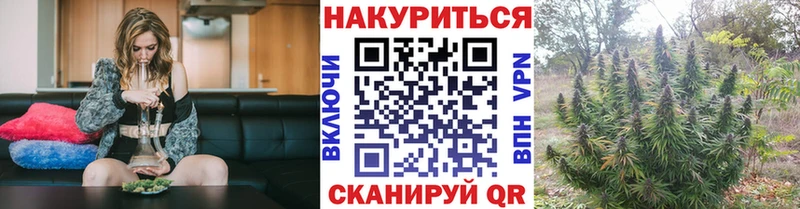 Каннабис планчик  Купить  Апрелевка 